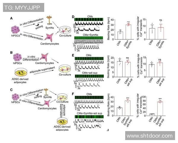 足球明星心脏健康隐患揭秘谁在运动场上面临风险